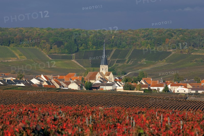 Chamery, Marne