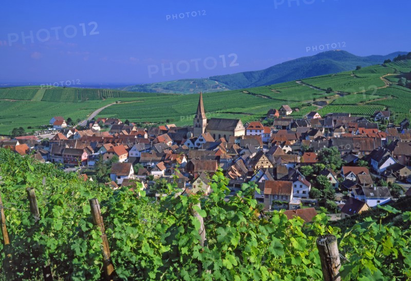 Niedermorschwihr, Haut-Rhin