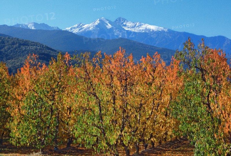 Pic du Canigou, Pyrénées-Orientales