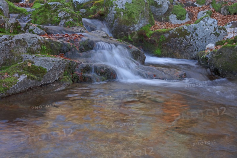 Cascade, Lozère