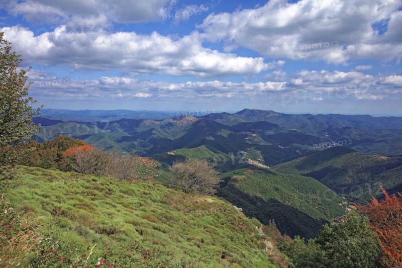 Massif de l'Aigoual, Gard