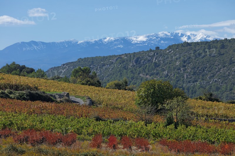 Vingrau, Pyrénées-Orientales