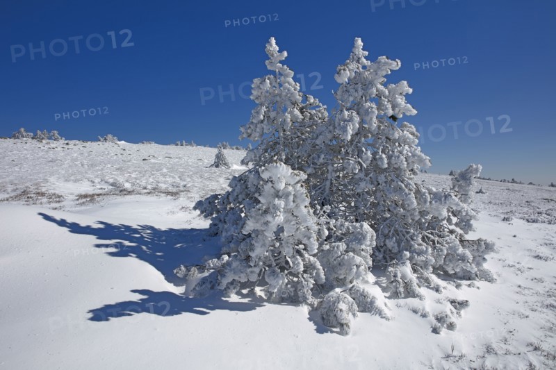 Le mont Lozère en hiver, Lozère
