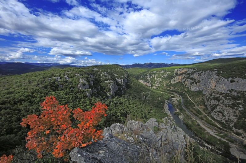 Saint-Bauzille-de-Putois, Hérault