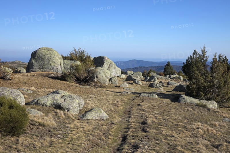 Mont-Lozère, Lozère
