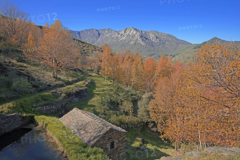 Vialas, Lozère