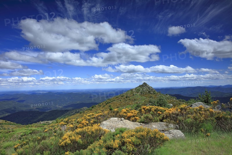 Vialas, Lozère