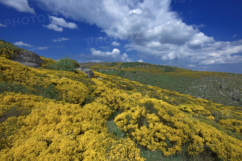 Vialas, Lozère