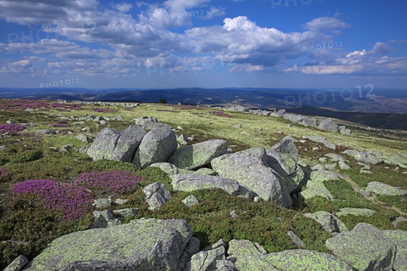 Mont-Lozère, Lozère