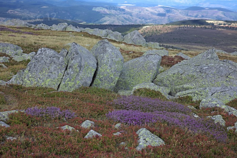 Mont-Lozère, Lozère