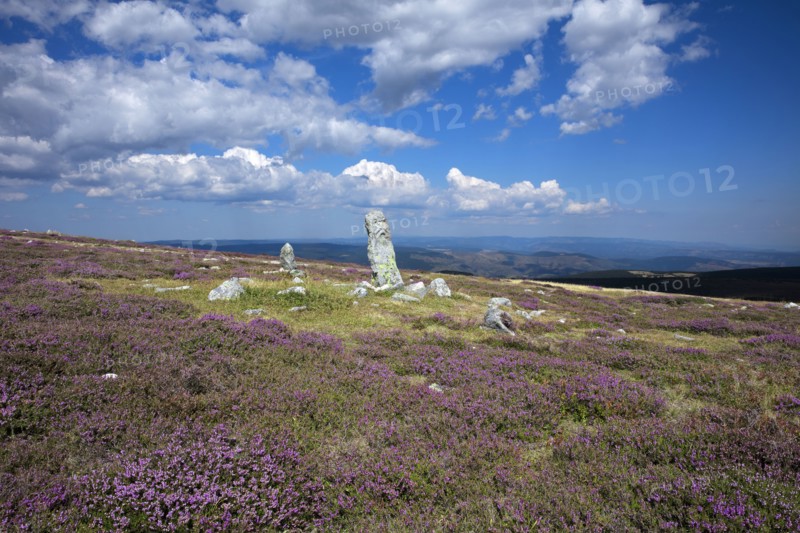 Mount Lozère, Lozère