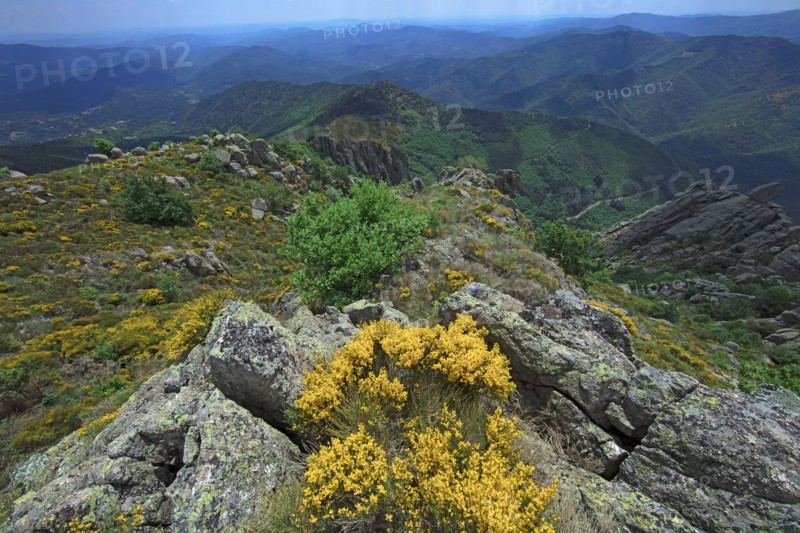 Vialas, Lozère