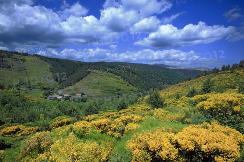 Pont-de-Montvert, Lozère
