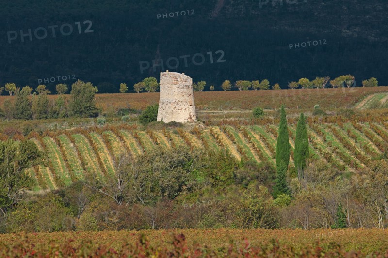 Paysage des Corbières, Aude
