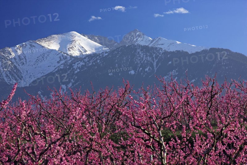 Pic du Canigou, Pyrénées-Orientales