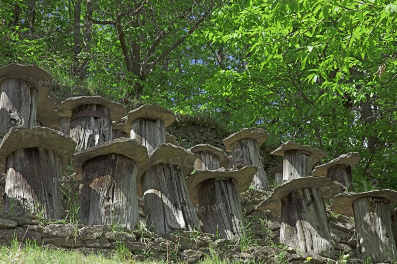 Gagnières, Gard