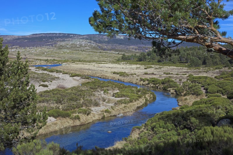 Mont Lozère, Lozère