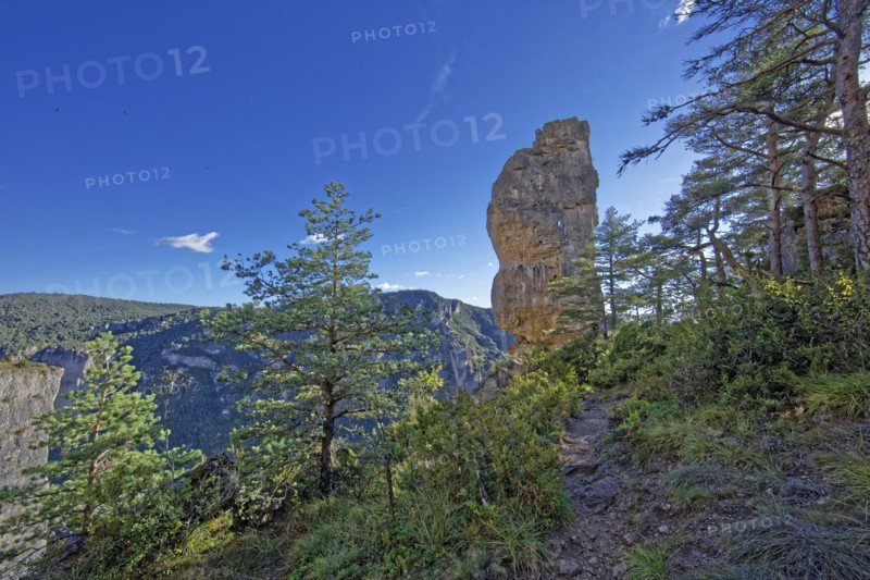 Le Rosier, Aveyron
