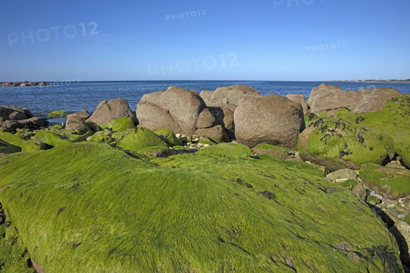 Cosqueville, Manche