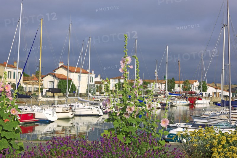 Ars-en-Ré, Charente-Maritime