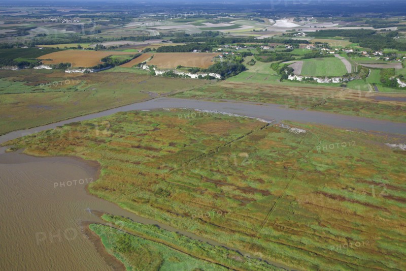 Landscape of the Gironde estuary, Charente-Maritime