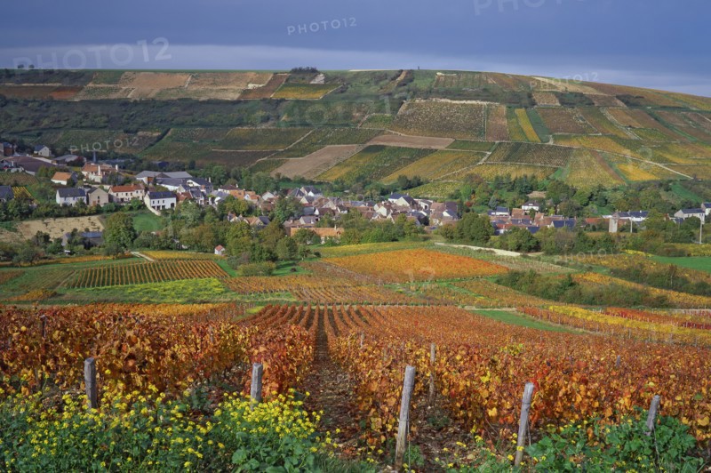 Chavignol, Cher