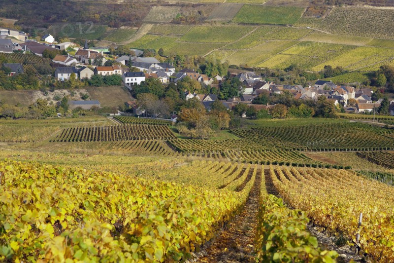 Chavignol, Cher