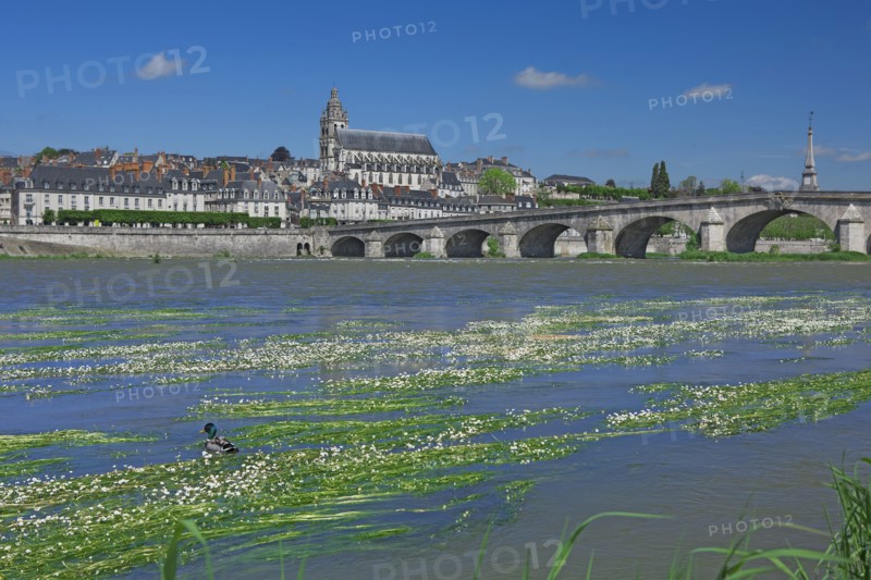 Blois, Indre-et-Loire