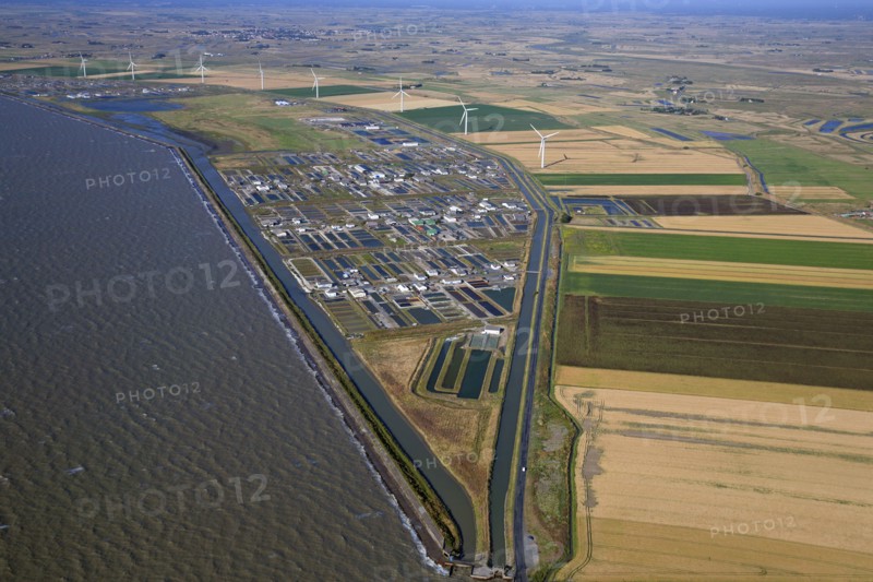 Beauvoir-sur-Mer, Vendée