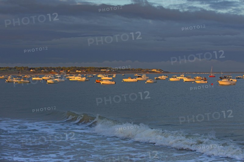 La-Tranche-sur-Mer, Vendée