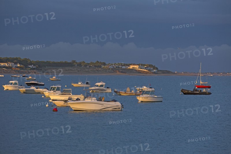 La-Tranche-sur-Mer, Vendée