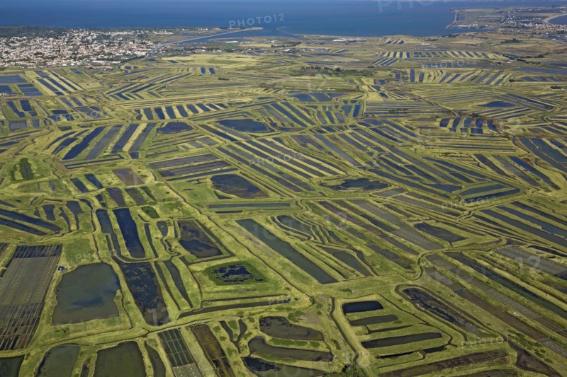 Noirmoutier-en-l'Ile, Vendée