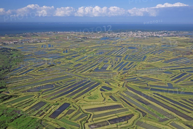 Noirmoutier-en-l'Ile, Vendée