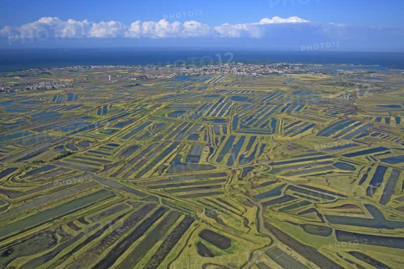 Noirmoutier-en-l'Ile, Vendée