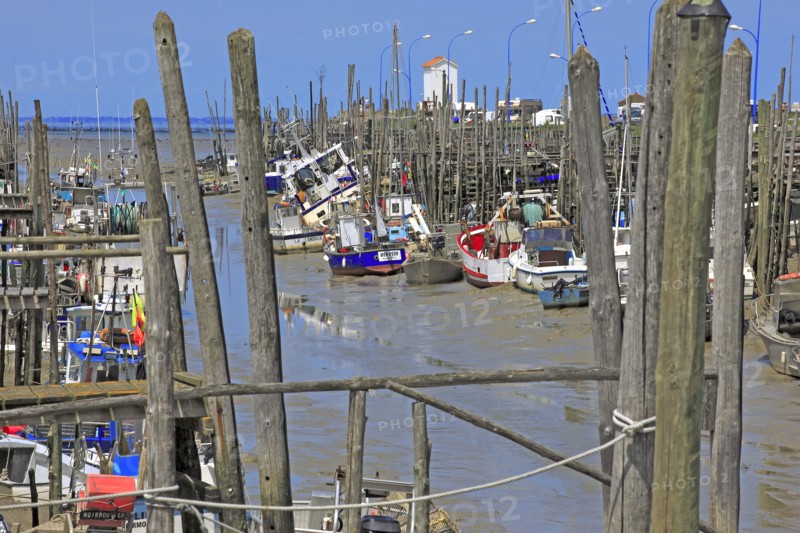 Beauvoir-sur-Mer, Vendée