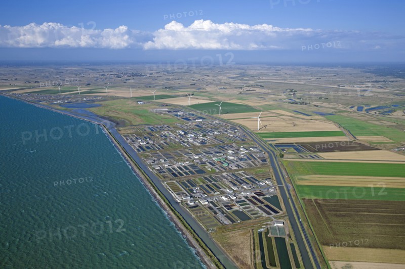 Beauvoir-sur-Mer, Vendée