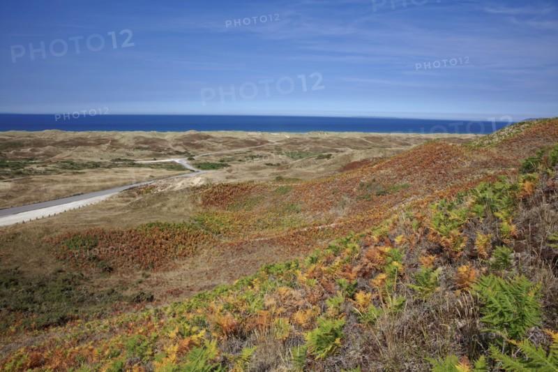 Dune massif at Biville, Manche
