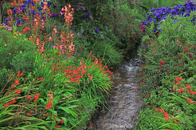 Plants in a botanical garden, Manche