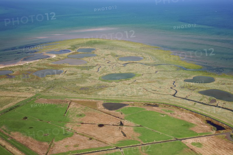 Baie des Veys, Manche