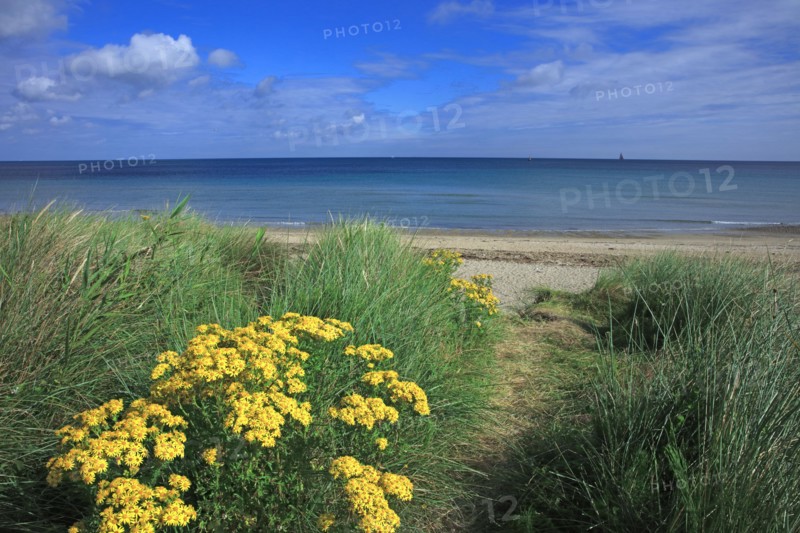 Urville-Nacqueville, Manche