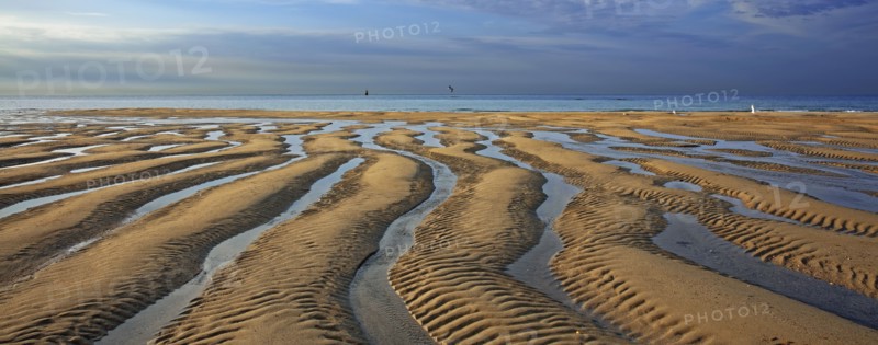 Plage à marée basse, Manche