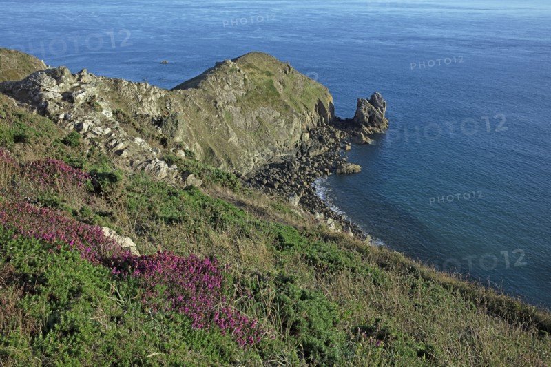 Cap de la Hague, Manche