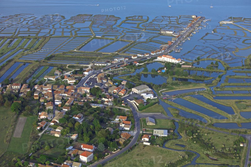 Chaillevette, Charente-Maritime