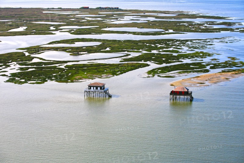 Arcachon, l'ile aux oiseaux, Gironde
