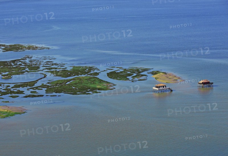 Arcachon, l'ile aux oiseaux, Gironde