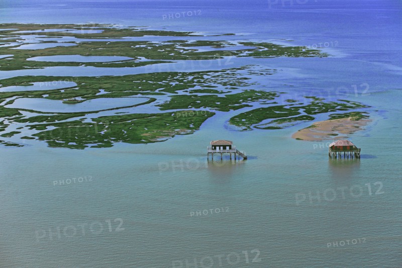 Arcachon, l'ile aux oiseaux, Gironde