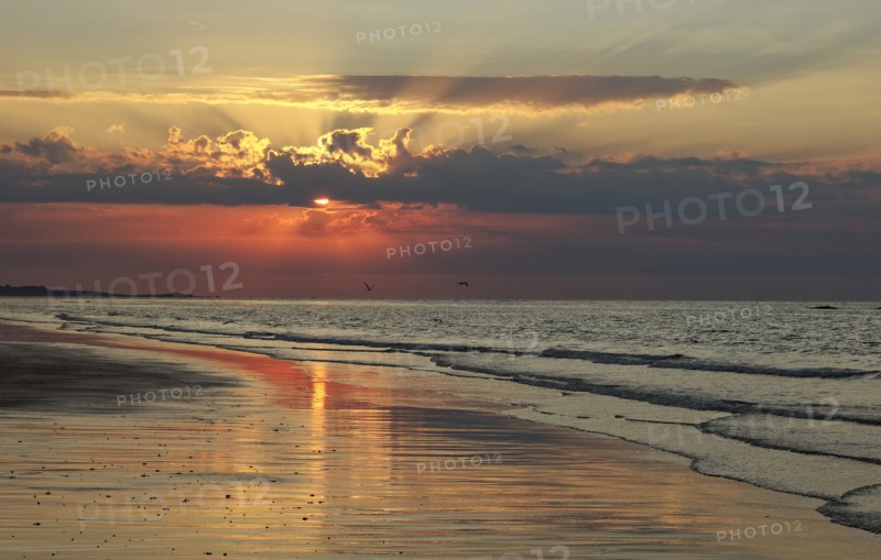 Coucher de soleil sur la mer, Cotentin