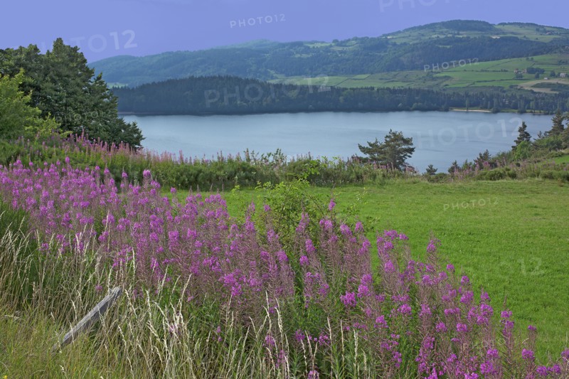 Lake of Issarlès, Ardèche
