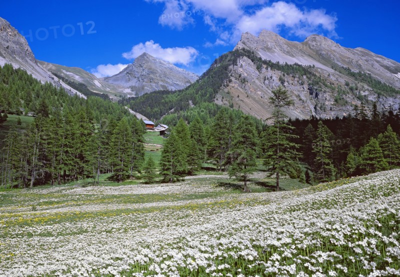 Ceillac, Hautes-Alpes