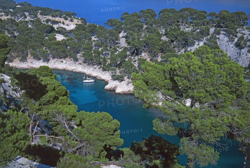 Cassis, the Port-Pin cove, Bouches-du-Rhône
